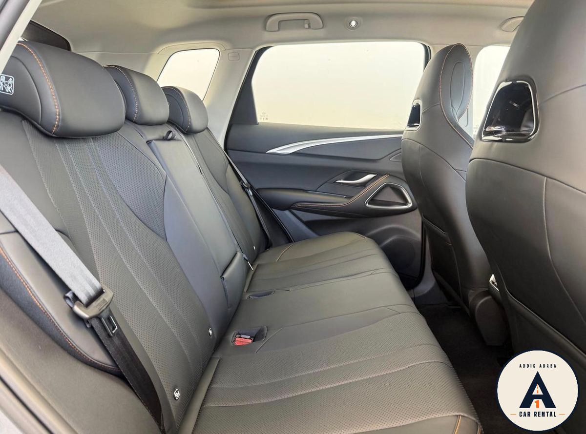 BYD Sealion 05 SUV for rent in Addis Ababa – photo 7
