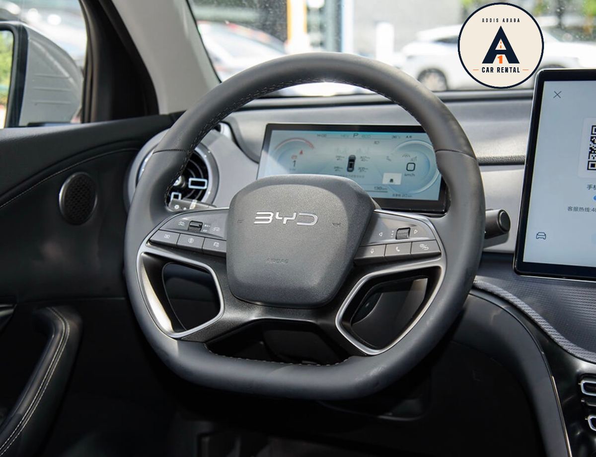 BYD Sealion 05 SUV for rent in Addis Ababa – photo 15